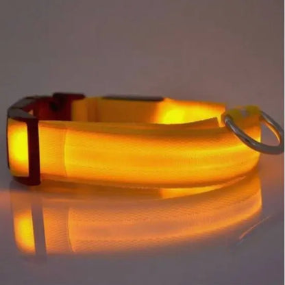 Stylish and Safe LED Pet Collar for Night Walks - Adjustable and Waterproof Design