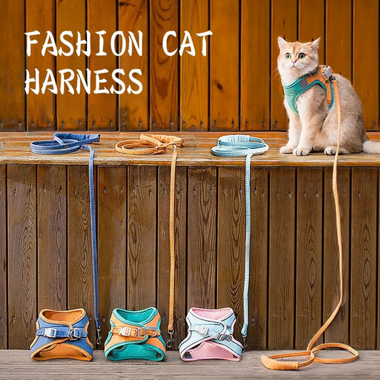 Feline Adventure Harness and Leash Kit
