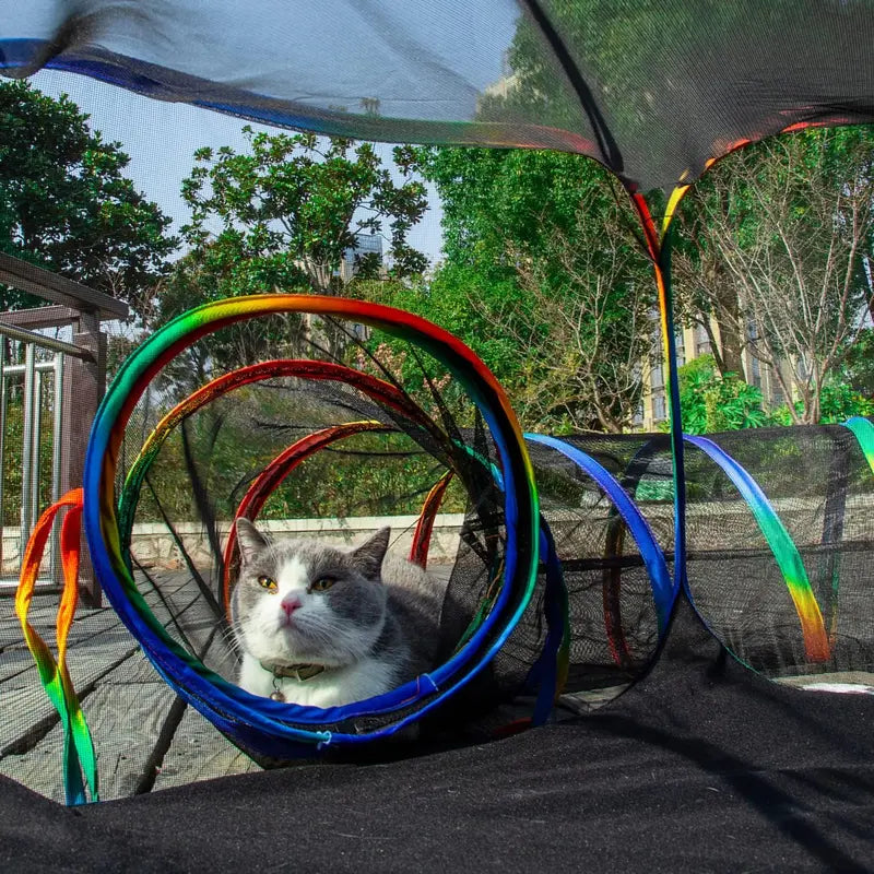 Outdoor Rainbow Cat Enclosures Playground,Outside House for Indoor Cats Include Portable Cat Tent, Circle Playpen Tunnel, for Kitty and Small Animals,Within Storage Bag
