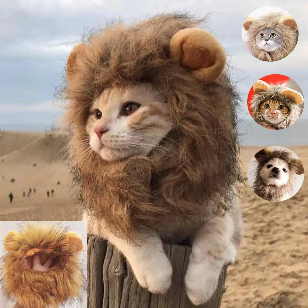 Majestic Lion Mane Pet Costume