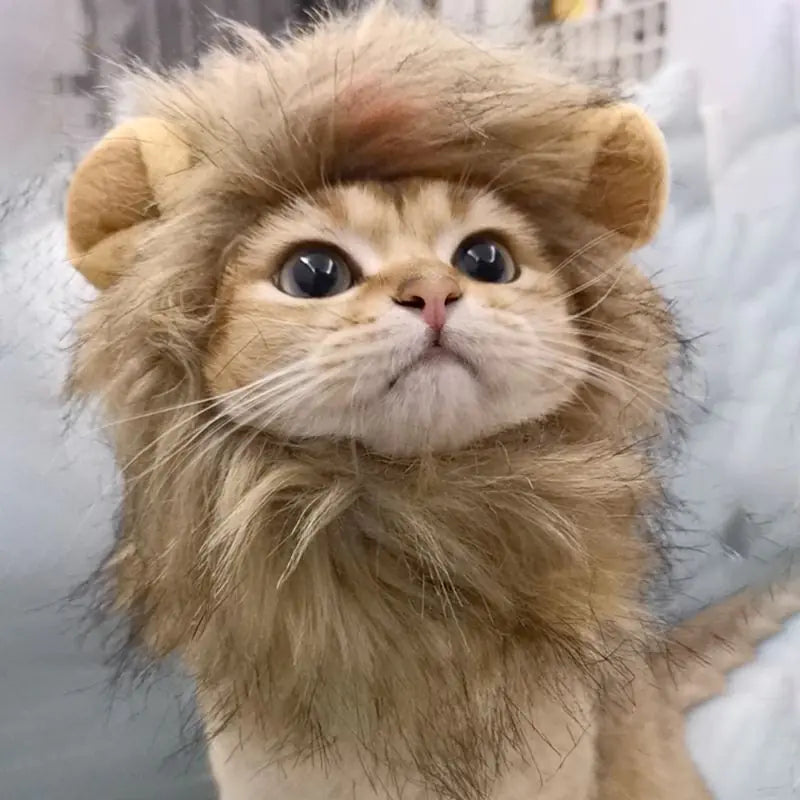 Majestic Lion Mane Pet Costume