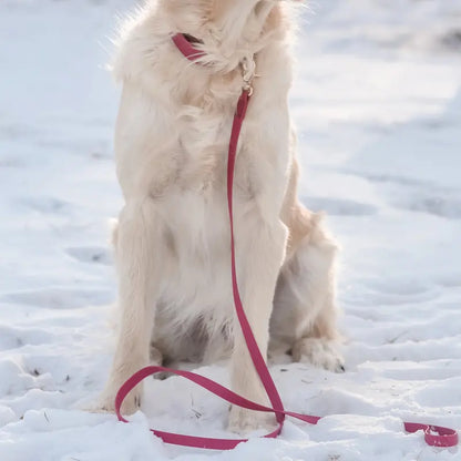 Waterproof Dog Collar