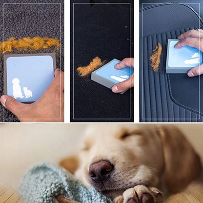 Electricity-Free Pet Hair Cleaning Sponge for Cats and Dogs