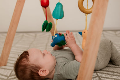 Baby's Wooden Eye-Tracking Play Gym by QToys - Plantation Timber, Non-Toxic Materials