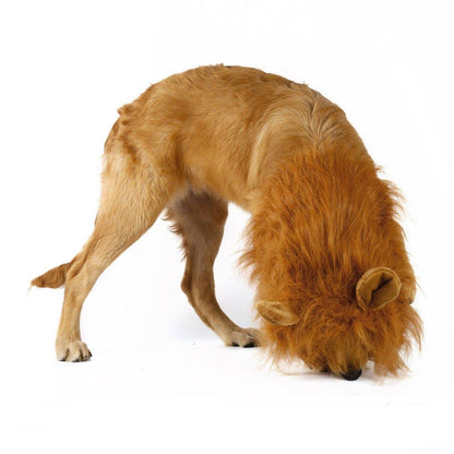 Roaring Lion Mane Costume for Dogs