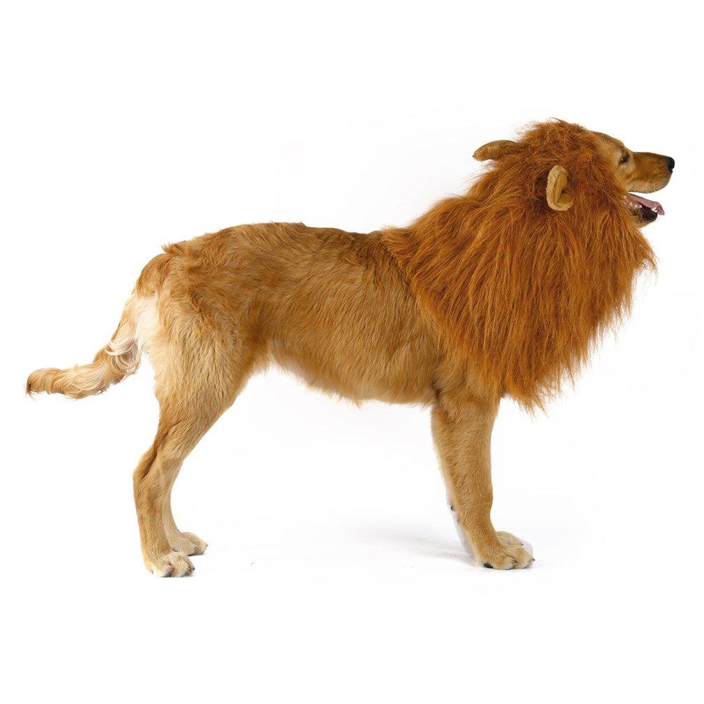 Roaring Lion Mane Costume for Dogs