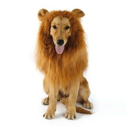 Roaring Lion Mane Costume for Dogs